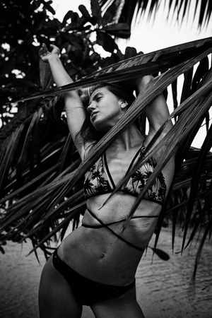 Beautiful sexy pretty brunette woman summer tropical palm tree perfect slim body shape swimming suit wear bikini hot weather sun screen lotion black and white fashion model pose beach.の写真素材
