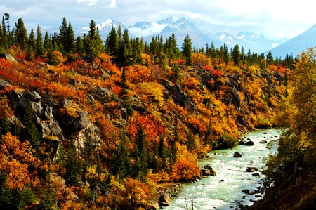 Alaska Riverの写真素材