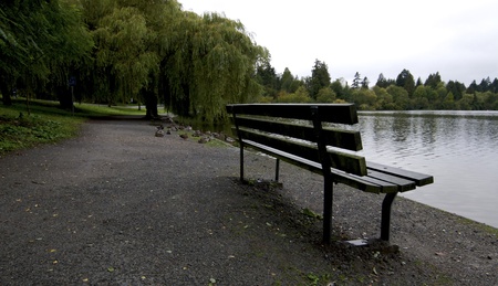 Park bench by duck pond in Canadaの写真素材