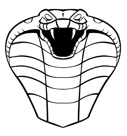 cobra headのイラスト素材