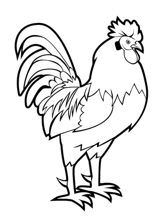 roosterのイラスト素材