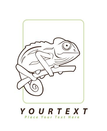 chameleon illustrationのイラスト素材