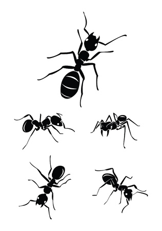 ant Collection Setのイラスト素材
