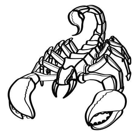 scorpionのイラスト素材