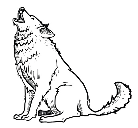 wolfのイラスト素材