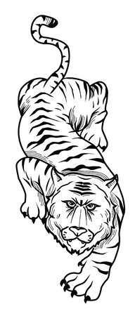 tigerのイラスト素材