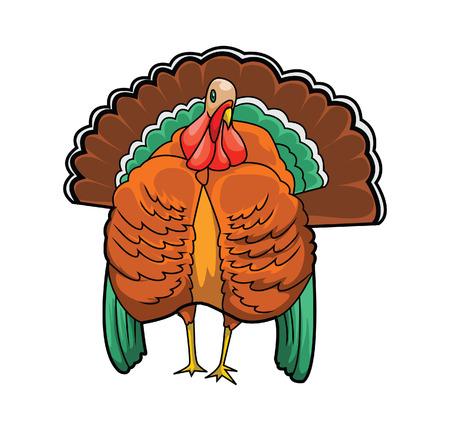 Turkey Birdのイラスト素材