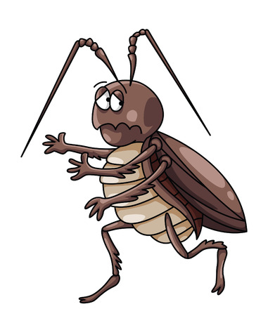 cockroaches Cartoon Illustrationのイラスト素材