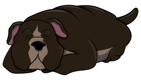 Pitbullのイラスト素材