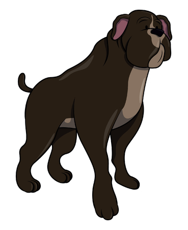 Pitbullのイラスト素材