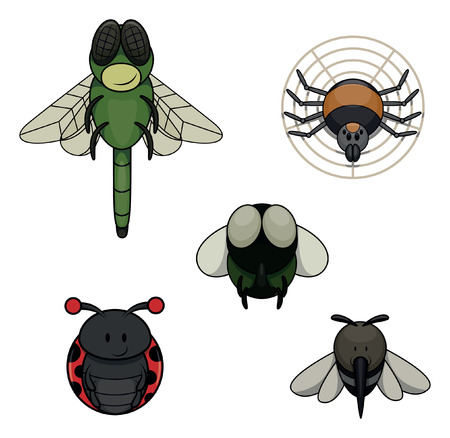 Insect animal : Dragon Fly, Spider, Fly, Mosquito and Bugのイラスト素材