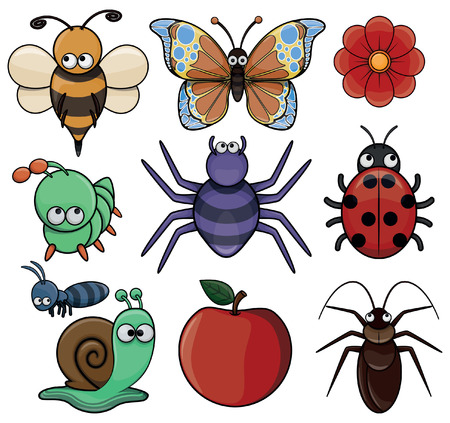 Insect animal collectionのイラスト素材