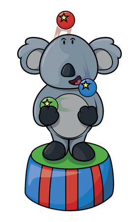 Koala circus acrobatのイラスト素材