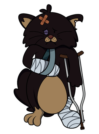 wound cat cartoon illustration isolated whiteのイラスト素材