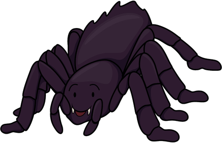 Tarantulaのイラスト素材