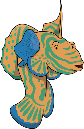 Mandarin dragon fishのイラスト素材