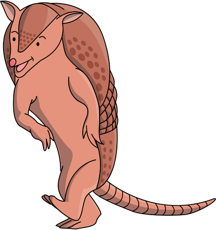 Armadillo vectorのイラスト素材