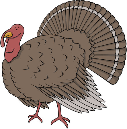 Turkey birdのイラスト素材