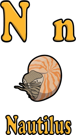 N for nautilusのイラスト素材