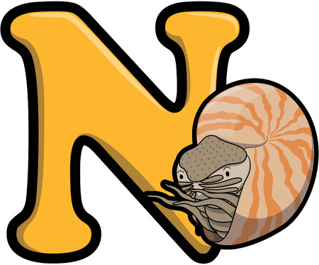 N for nautilusのイラスト素材