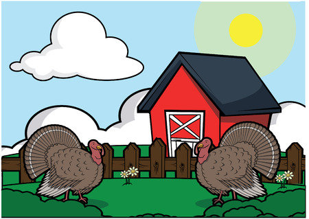 Turkey bird farmのイラスト素材
