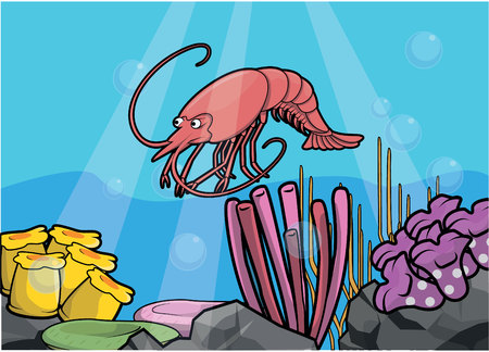 Shrimp underwater sceneryのイラスト素材