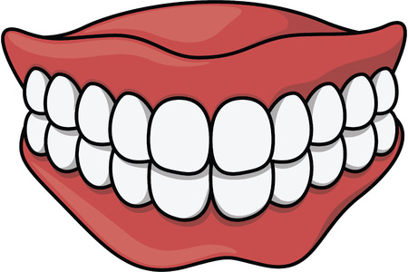 dentures cartoon illustrationのイラスト素材