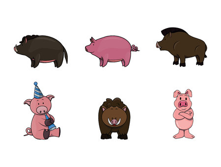swine illustration design collectionのイラスト素材