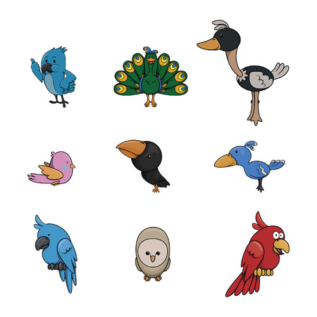 birds illustration design collectionのイラスト素材