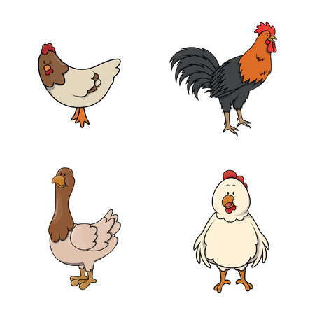chicken animal illustration design collectionのイラスト素材