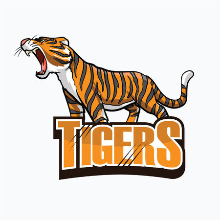 tiger illustration design colorfulのイラスト素材