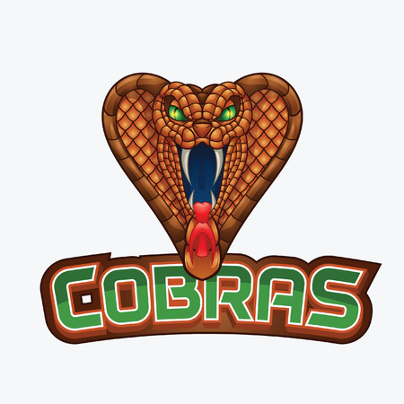 cobras brown banner illustration design colorfulのイラスト素材