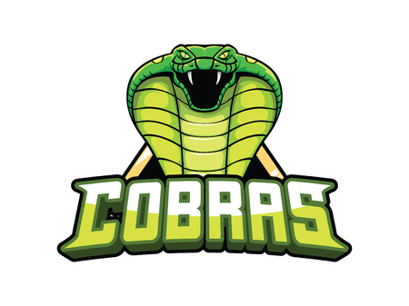 cobras green banner illustration design colorfulのイラスト素材