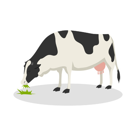 cow color illustration designのイラスト素材