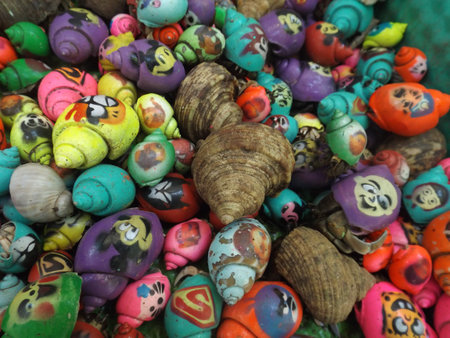 Colorful conch, usually used for toys. Sold in many places in tourist area in East Java