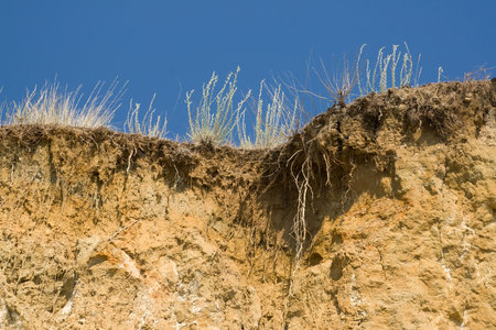 Dry grass at the edge of cliff. Sky, wormwood, roots.