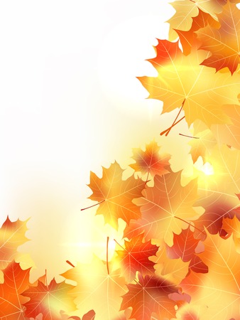 Background with maple autumn leaves  plus のイラスト素材