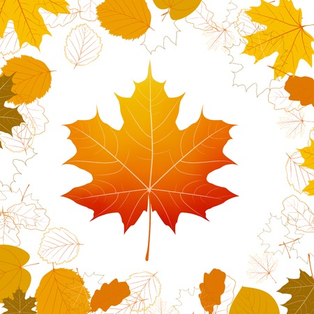 Autumn leaves design elements  plus のイラスト素材