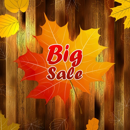 Autumn sale wood and Leaves poster  plusのイラスト素材