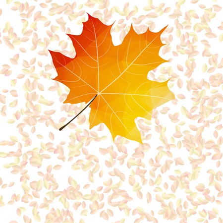Autumn leaf abstract backgrounds  plus のイラスト素材