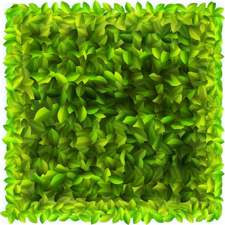 Background with fresh green leaves    のイラスト素材