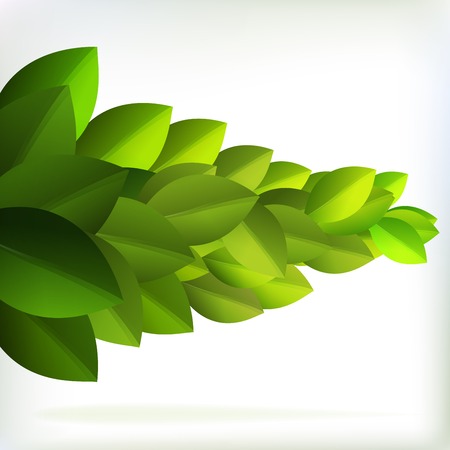 Fresh green leaves for summer design    EPS10のイラスト素材