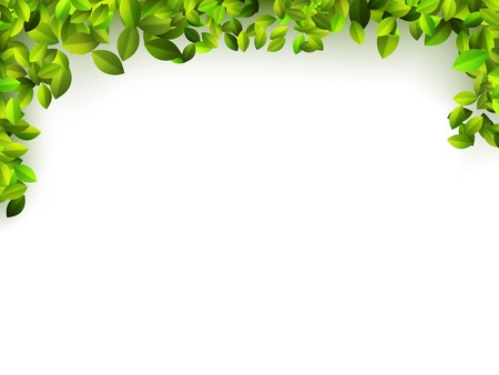 Natural green background    のイラスト素材