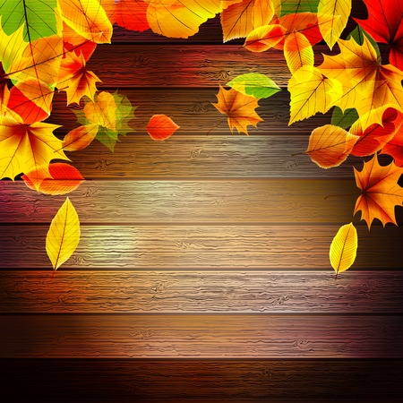 Yellow wet autumn leaves on the background  のイラスト素材