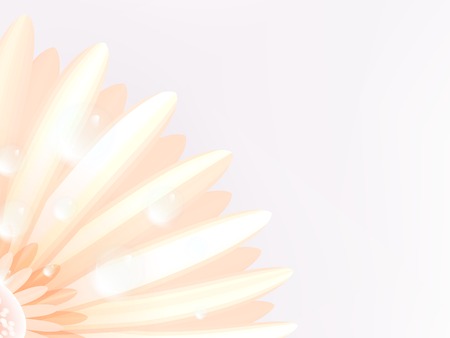 Water drops on elegant gerbera petals  plusのイラスト素材