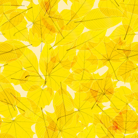 Transparent Autumn Leaves  plus のイラスト素材