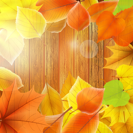 Autumn Leaves over wooden background  のイラスト素材