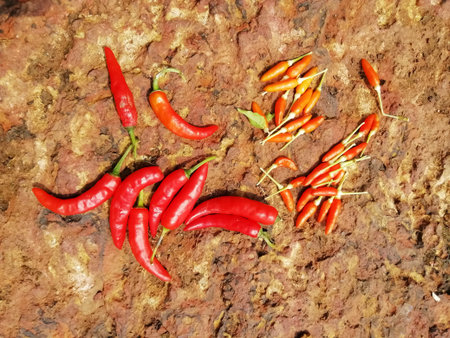 closeup view of red chili peppers isolated on an earth surface