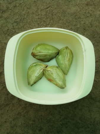 closeup view of a vegetable snack food in a bowl isolated on a surface