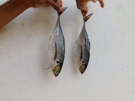 closeup view of fishes with human hand fingers isolated on white background